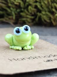 Image result for glass frog