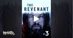 Propriété du groupe france télévisions, la chaîne nationale numéro 2 axe son activité sur l'information et le journalisme. The Revenant En Streaming Molotov Tv