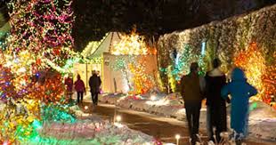 The Best Festivals And Holiday Traditions In The West Colorado Christmas Denver Botanic Gardens Botanical Gardens