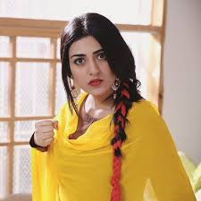 Pin On Pakistani Celebrities