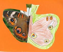 Mukemmel Bir Resim Tamamlama Calismasi Complete The Picture Sanat Hayvanlar Kelebekler