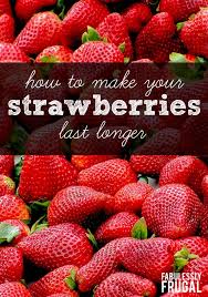 How To Make Your Strawberries Last Longer Fabulessly Frugal Recipe Strawberry How To Store Strawberries How To Clean Strawberries