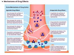 neurotransmitters and their roles in addiction amandas