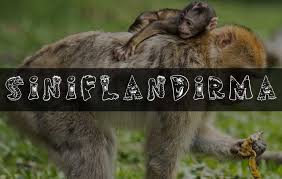 Canlilarin Siniflandirilmasi