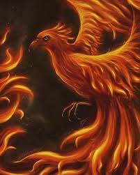 Ave Fenix En Instagram El Tiempo Contesta Tus Preguntas O Hace Que Ya No Te Importen Las Respuestas Phoenix Bird Art Phoenix Artwork Phoenix Painting