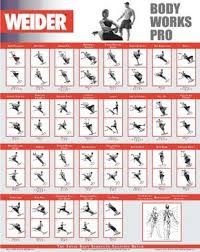 Weider Workout Chart Images Gym Workout Chart Total Gym