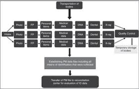 — dispatch out from transit. Additional Contextual Considerations Section 5 Field Hospitals