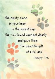 P9474 Sincere Pet Sympathy Cards Pet Sympathy Quotes Pet Sympathy Cards Pet Sympathy