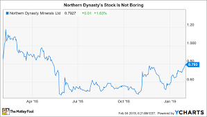 why northern dynasty minerals stock rocketed 37 in january