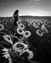 16 Paula Patton Ideas Paula Patton Patton Paula