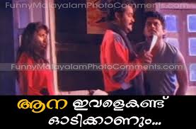 Comedy #jagathysreekumarcomedyscenes #latestmalayalam , #malayalamcomedyscenes , #malayalamcomedy. Most Funny Malayalam Photo Comments Malayalam Comedy Funny Dialogues Movie Dialogues