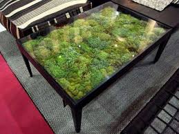 Einen Miniatur Garten Auf Dem Alten Beistelltisch Selber Anlegen Gartentisch Glas Tischplatte Miniaturgarten