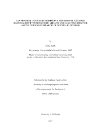 Http D Scholarship Pitt Edu 7597 1 Lenk Etd2007 Final22 5b2 5d Pdf
