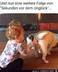 Funpot home übersicht lustige bilder lustige videos digitalbilder. Funpot Net
