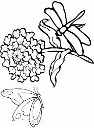 Kids can use both crayons as well as watercolors to fill in these pages. Dragonfly Coloring Pages For Kids Coloring Home