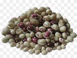 Image result for Vigna subterranea