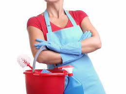 38 Things Your Housecleaner Secretly Wants You To Know Humor Clean House Cleaning Service Cleaning Hacks