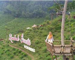Maybe you would like to learn more about one of these? Info Lokasi Tiket Penginapan Kebun Teh Kemuning