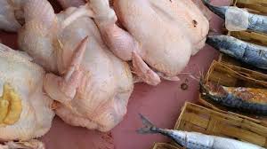 Menyediakan informasi dan harga ayam broiler, harga telur ayam, harga doc ayam broiler, harga doc ayam petelur update setiap hari. Harga Ayam Kampung Tembus Rp 150 Ribu Per Ekor Bisnis Liputan6 Com