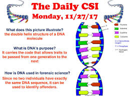 Well, really what kind of odds did he give you. What Is The Structure Of Dna Gizmo
