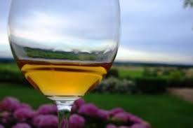 Learn About Chateau Dyquem Sauternes Bordeaux Complete Guide