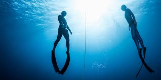 Vor der südküste australiens setzen skin, damon. Was Ist Freediving Freediving Freitauchen Und Apnoetauchen Lernen
