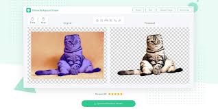 With this online app, the removing process becomes extremely simple and fast. 9 Best Image Background Remover In 2020 By Sohel Rana An Idea By Ingenious Piece Medium