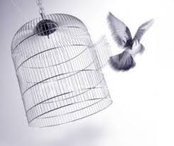 Bioshock Bird Or Cage Meaning Bird Cage Free Bird Bird Flying Out Of Cage 1 The Caged Bird Sings Sansa Sansa Stark
