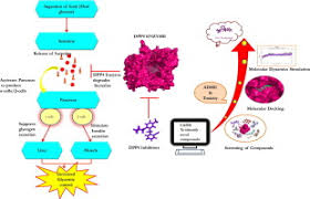 Image result for Gliptin