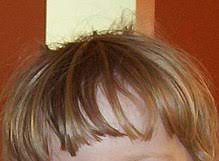 Maybe you would like to learn more about one of these? Bangs Hair Wikipedia