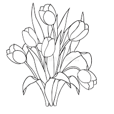 Pick the nicest collection of printable flowers coloring sheets. Tulips Flowers Ornamental Black And White Coloring Pages Stock Vector Illustration Of Line Plant 71366884