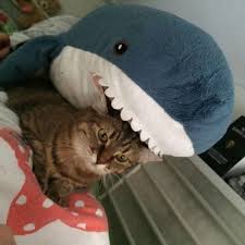Ikea Released An Adorable Plush Shark And People Are Losing Their Minds Over It Bored Panda