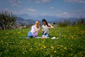 In diesem zusammenhang häufig verwendete utensilien sind der picknickkorb, die picknickdecke oder das picknickgeschirr. Die 8 Schonsten Picknicks In Der Steiermark 1000things