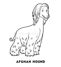 There are simple dog outlines for preschool kids to color in, adorably cute cartoon style dogs with personality, and gorgeously detailed designs for big kids and adults. Coloring Book Dog Breeds Afghan Hound Stock Vector Illustration Of Afghan Activity 102376401
