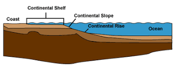 Continental Shelf Marine Biodiversity Wiki Continental Shelf Earth And Space Science Lessons For Kids