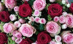 Последние твиты от blumen group (@blumen_group). Blumen Lennartz Ihr Blumenladen In Munster