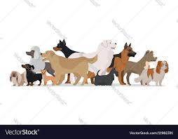 Group Of Different Breeds Dogs Stand On White Background Dogs Banner With Space For Text Vector Illustration In Flat Style Cartoo Dog Breeds Dog Vector Dogs