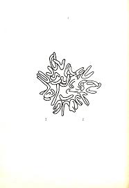 Image result for Pseudobromus