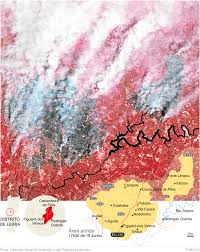 We did not find results for: Incendio De Pedrogao Grande E O Maior De Sempre Em Portugal Incendios Florestais Publico