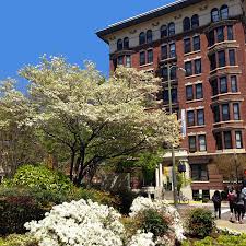 Sunshine For Days At The Corner Of Franklin And Shafer Street On Virginia Commonwealth University Virginia Commonwealth University University Campus Richmond