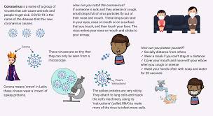 Australia government department of health. Coronavirus Infographic By Angela Messmer Blust