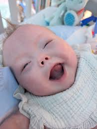 Does laying ootheca mean a praying mantis is near the end of its lifespan?