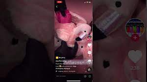 Tiktok E Usado Para Vender Cigarros Eletronicos A Adolescentes Olhar Digital
