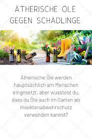 Atherische Ole Werden Hauptsachlich Am Menschen Eingesetzt Aber Wusstest Du Dass Du Ole Auch Im Garten Als Pflanzen Schadlinge Im Garten Schadlingsbekampfung