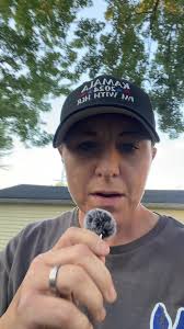 Remote Webinar with Daniel Kump Icon