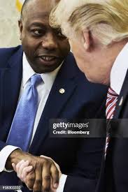 273 Scott Kirkpatrick Stock Photos, High-Res Pictures, and Images