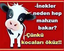 Hahahhaha Komik Seyler Komik Tumblr Komik Fikralar