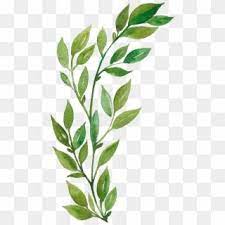 H916 Watercolor Leaves Watercolor Art Plant Aesthetic Gambar Dedaunan Kartun Hd Png Download Watercolor Splash Png Watercolor Circles Watercolor Leaves
