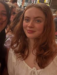 Stranger Things The Series