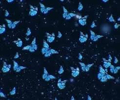 Find minimalist aesthetic wallpapers hd for desktop computer. Lustandlettuce Blue Butterfly Wallpaper Baby Blue Aesthetic Photoshoot Backdrops